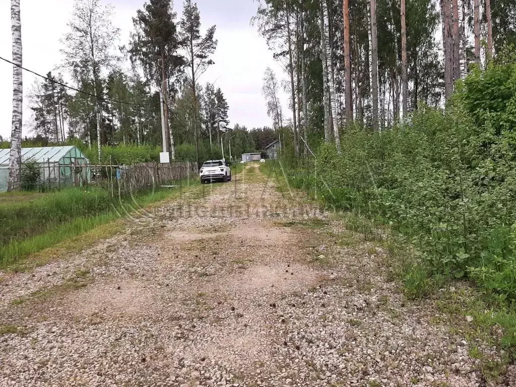 Участок в Ленинградская область, Ломоносовский район, Лебяженское ... - Фото 1