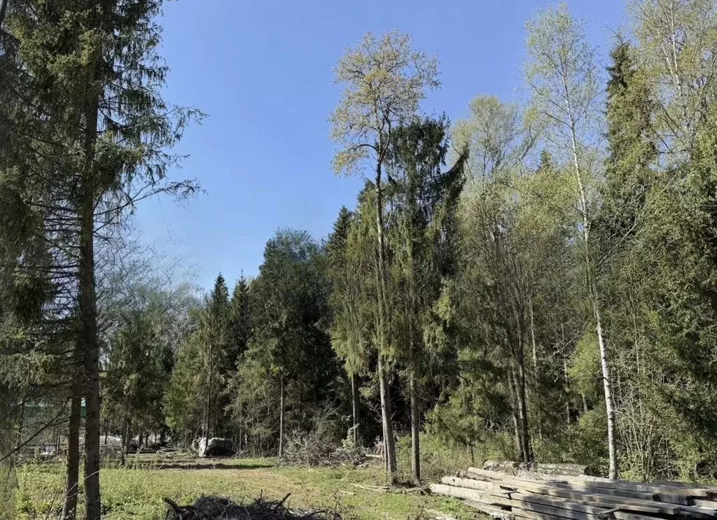 Участок в Московская область, Дмитровский муниципальный округ, д. ... - Фото 2