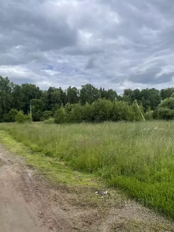 Участок в Московская область, Чехов муниципальный округ, д. Булычево  ... - Фото 2