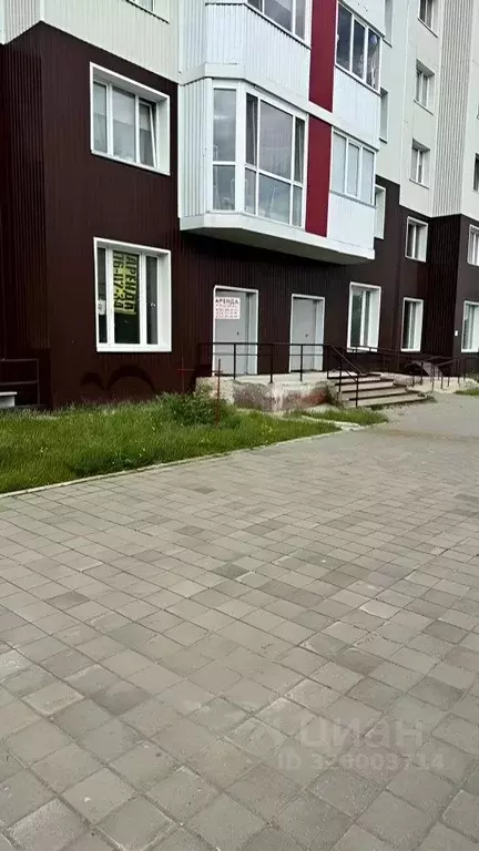 Помещение свободного назначения в Ханты-Мансийский АО, Сургут ул. ... - Фото 1