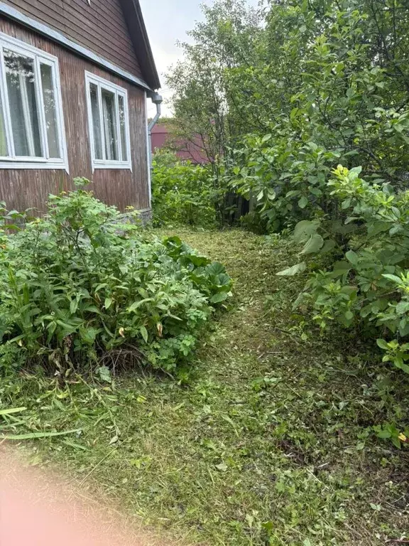 Участок в Ленинградская область, Всеволожский район, Куйвозовское ... - Фото 0