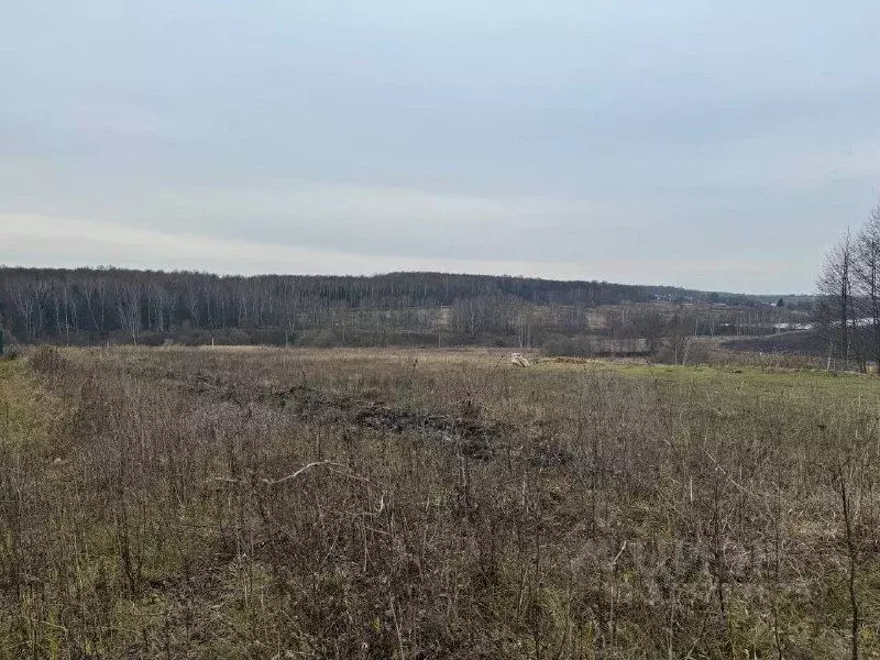 Участок в Московская область, Кашира городской округ, д. Клубня  ... - Фото 0