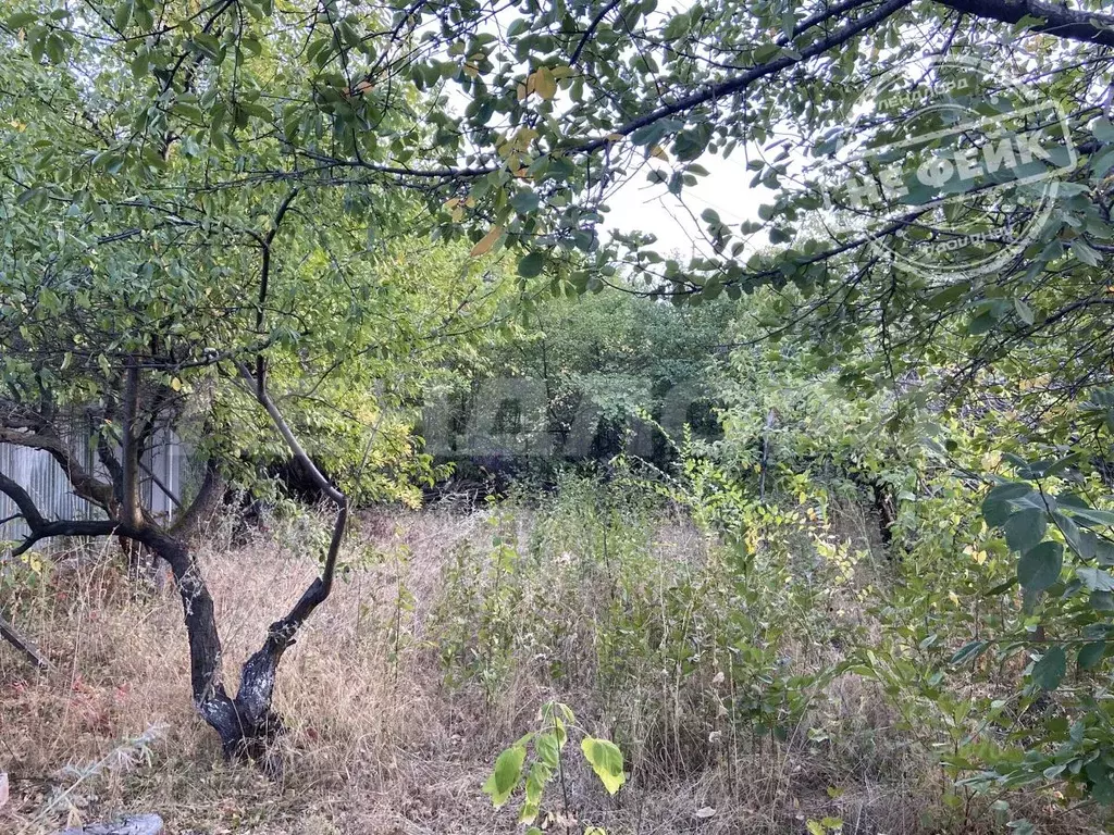 Участок в Ростовская область, Новочеркасск ул. Седьмая (4.0 сот.) - Фото 1