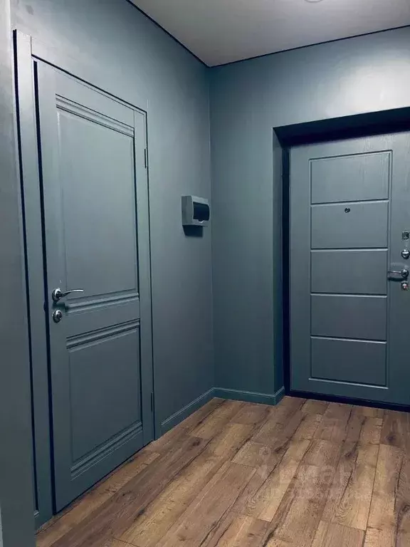 Студия Татарстан, Казань ул. Родины, 26А (33.0 м) - Фото 1