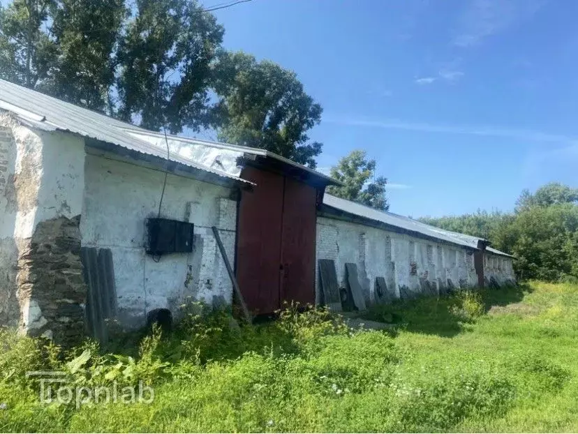 Склад в Алтайский край, Косихинский район, Баюново ст. Элеваторная ... - Фото 2