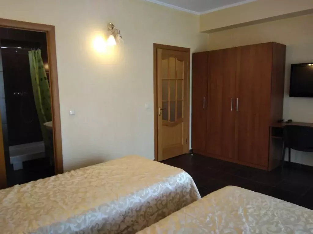 1-к кв. Крым, Ялта муниципальный округ, Ливадия пгт ул. Виноградная, ... - Фото 2