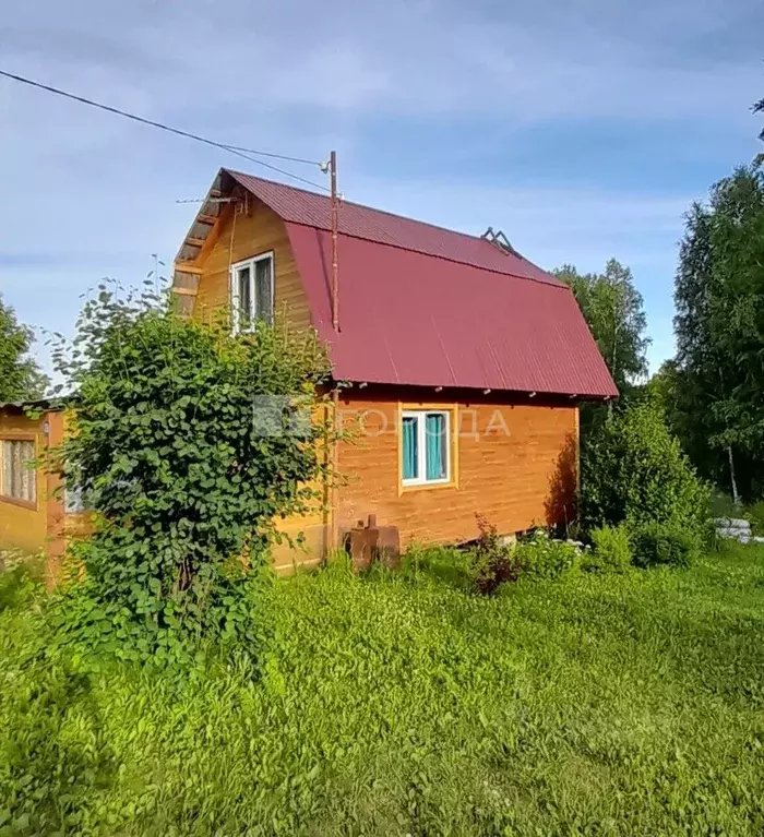 Участок в Новосибирская область, Мошковский район, Энергия СНТ 376 ... - Фото 0
