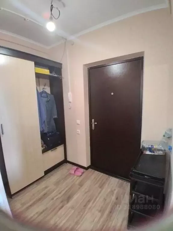 Студия Краснодарский край, Анапа ш. Супсехское, 26к9 (32.0 м) - Фото 1