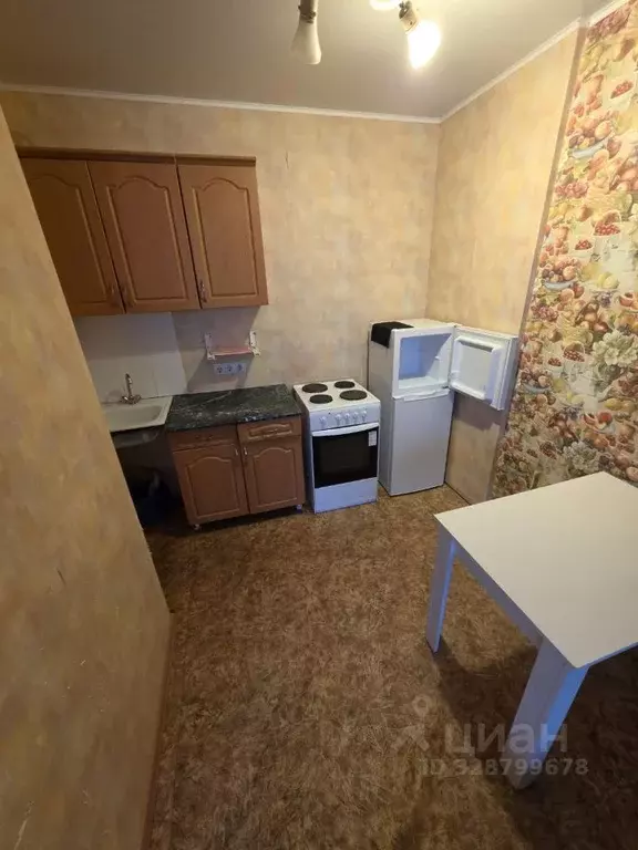 Студия Удмуртия, Ижевск Ракетная ул., 42 (26.0 м) - Фото 2