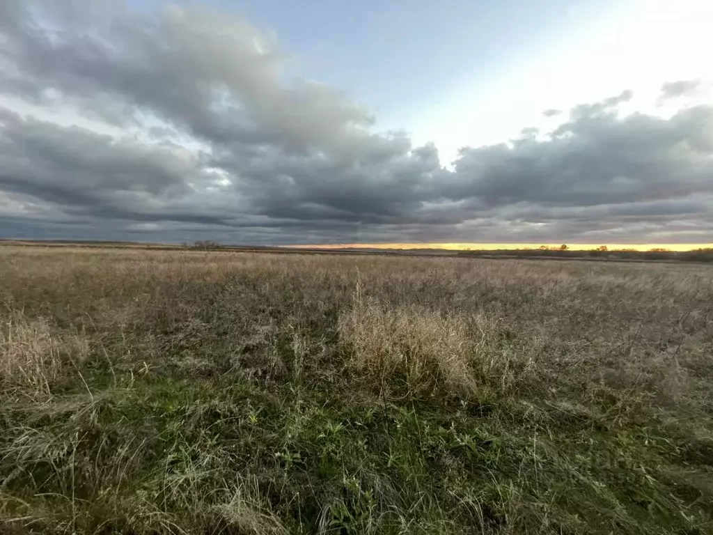 Участок в Краснодарский край, Анапа муниципальный округ, с. ... - Фото 1