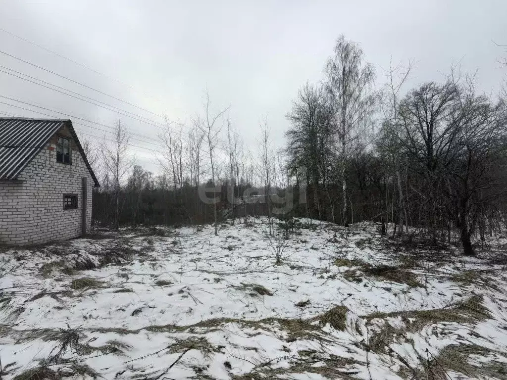 Участок в Брянская область, Брянский район, Добрунское с/пос, Сигнал ... - Фото 2