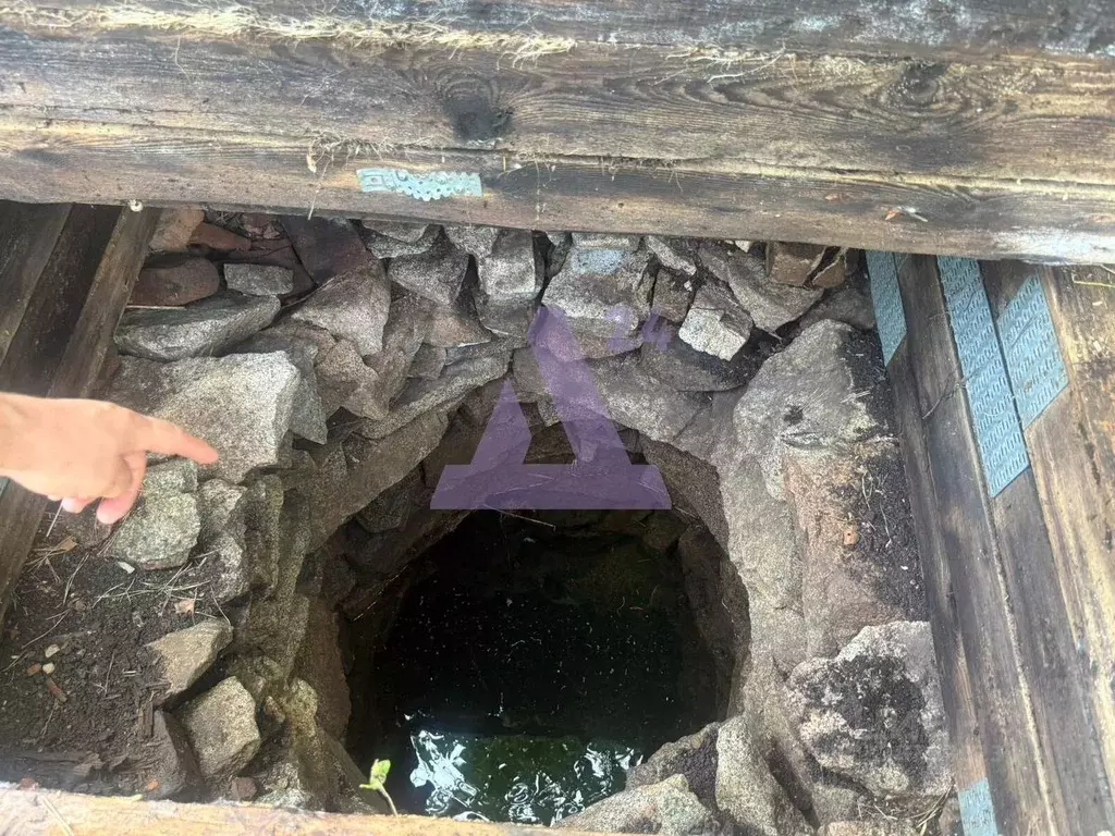 Дом в Алтайский край, Курьинский район, Колыванский сельсовет, с. ... - Фото 1