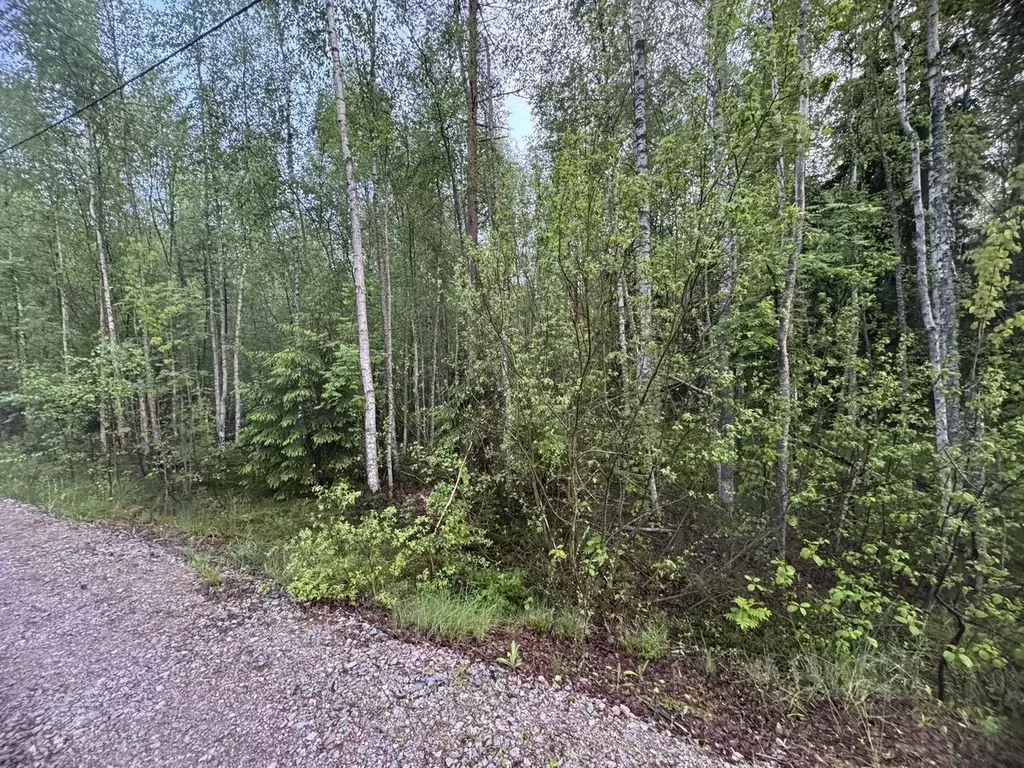 Участок в Ленинградская область, Выборгский район, Полянское с/пос, ... - Фото 2