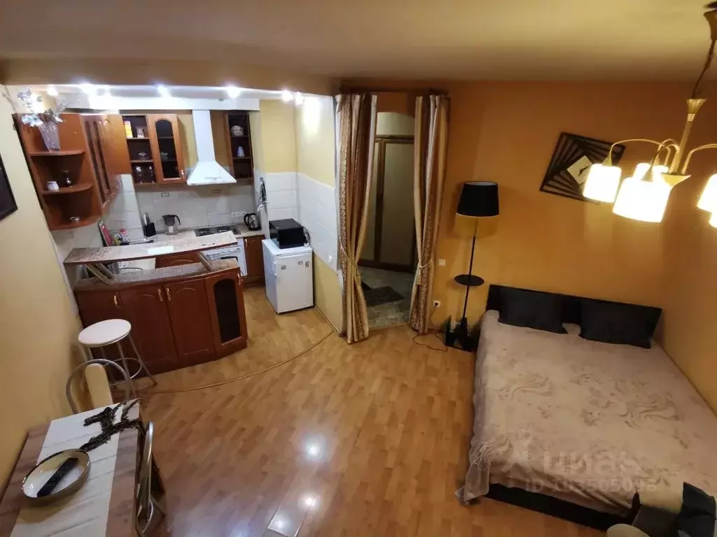 Студия Санкт-Петербург просп. Ударников, 33 (33.0 м) - Фото 1