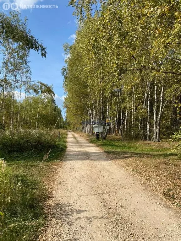 Участок в Нижегородская область, Кстовский муниципальный округ, ... - Фото 0