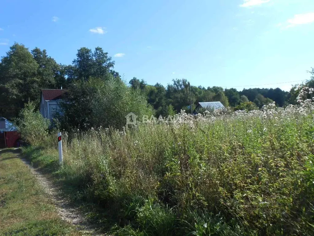 Участок в Владимирская область, Петушинский муниципальный округ, д. ... - Фото 0