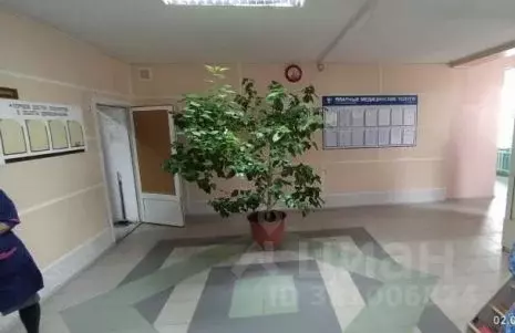 Помещение свободного назначения в Татарстан, Зеленодольск ул. Гоголя, ... - Фото 2