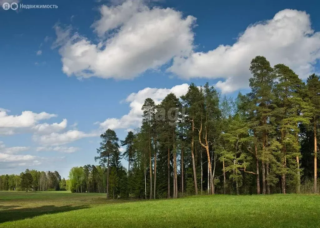 Участок в Республика Коми, муниципальный район Сыктывдинский, ... - Фото 1