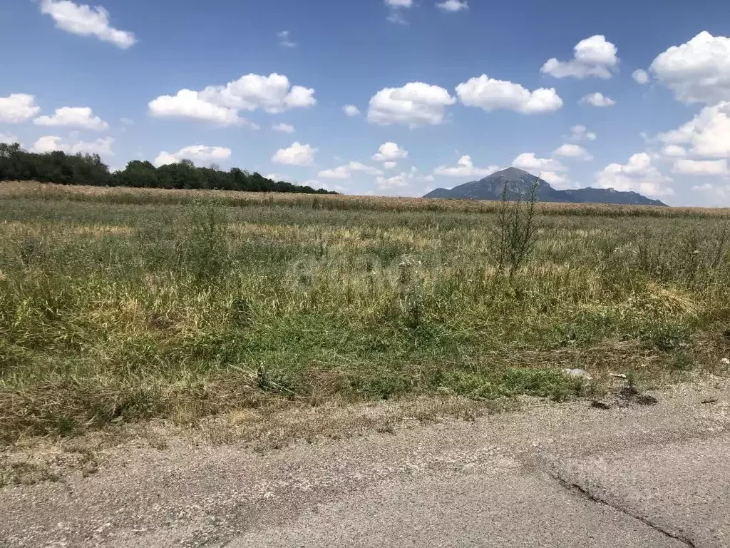 Участок в Ставропольский край, Предгорный муниципальный округ, с. ... - Фото 1