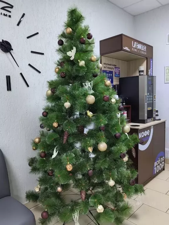 Офис в Саратовская область, Саратов Астраханская ул., 43к4 (1256 м) - Фото 1