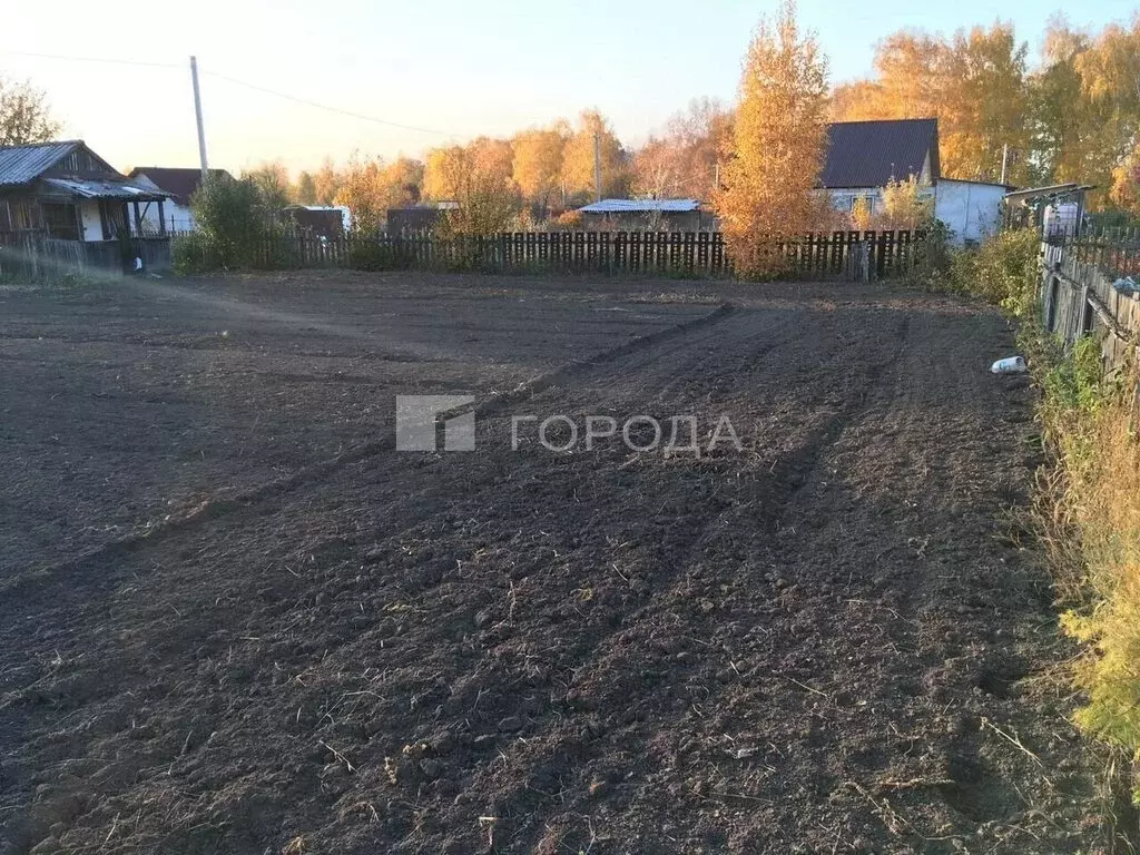 Дом в Искитимский район, Мичуринский сельсовет, СПК Восток-2, 21 (10 ... - Фото 2