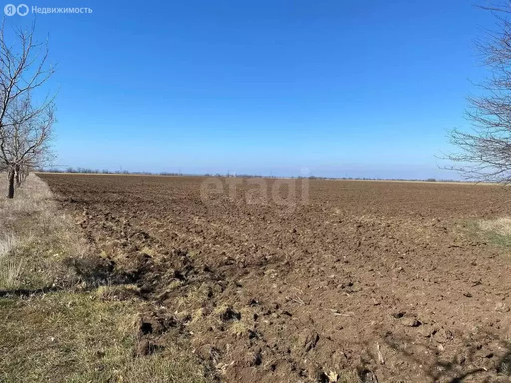 Участок в Николаевское сельское поселение, село Раздолье (478.44 м) - Фото 1