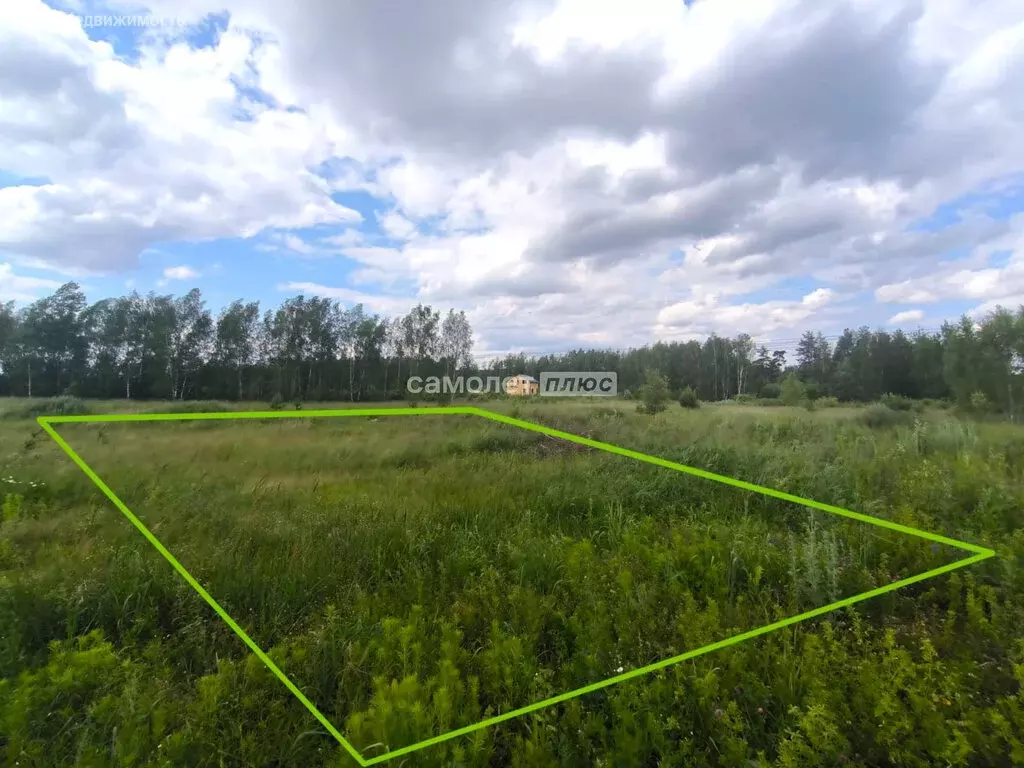 Участок в Московская область, Богородский городской округ, КП Новое ... - Фото 1
