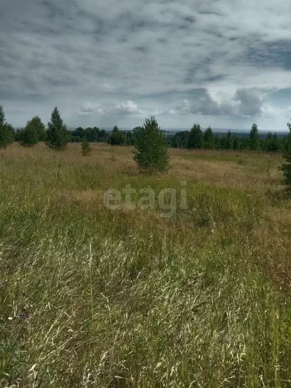 Участок в Кемеровская область, Новокузнецкий муниципальный округ, пос. ... - Фото 0