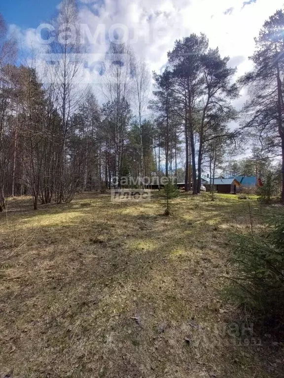 Участок в Костромская область, Костромской район, Кузнецовское с/пос, ... - Фото 1