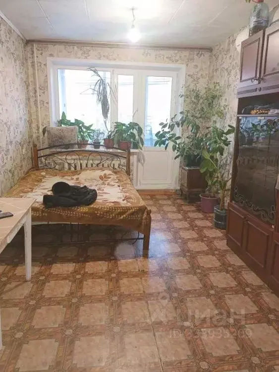 2-к кв. Иркутская область, Иркутск ул. Ярославского, 290 (46.6 м) - Фото 2