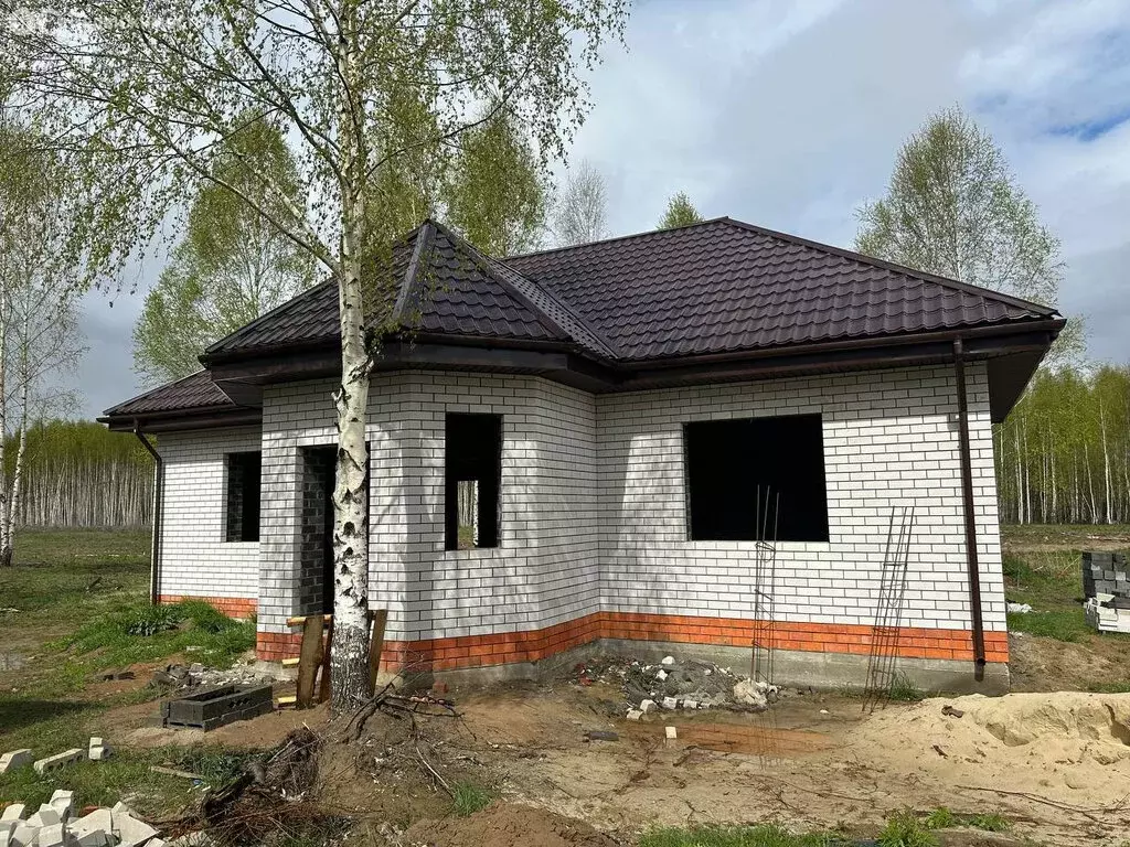 Дом в Нижегородская область, городской округ Бор, деревня Васильково, ... - Фото 0