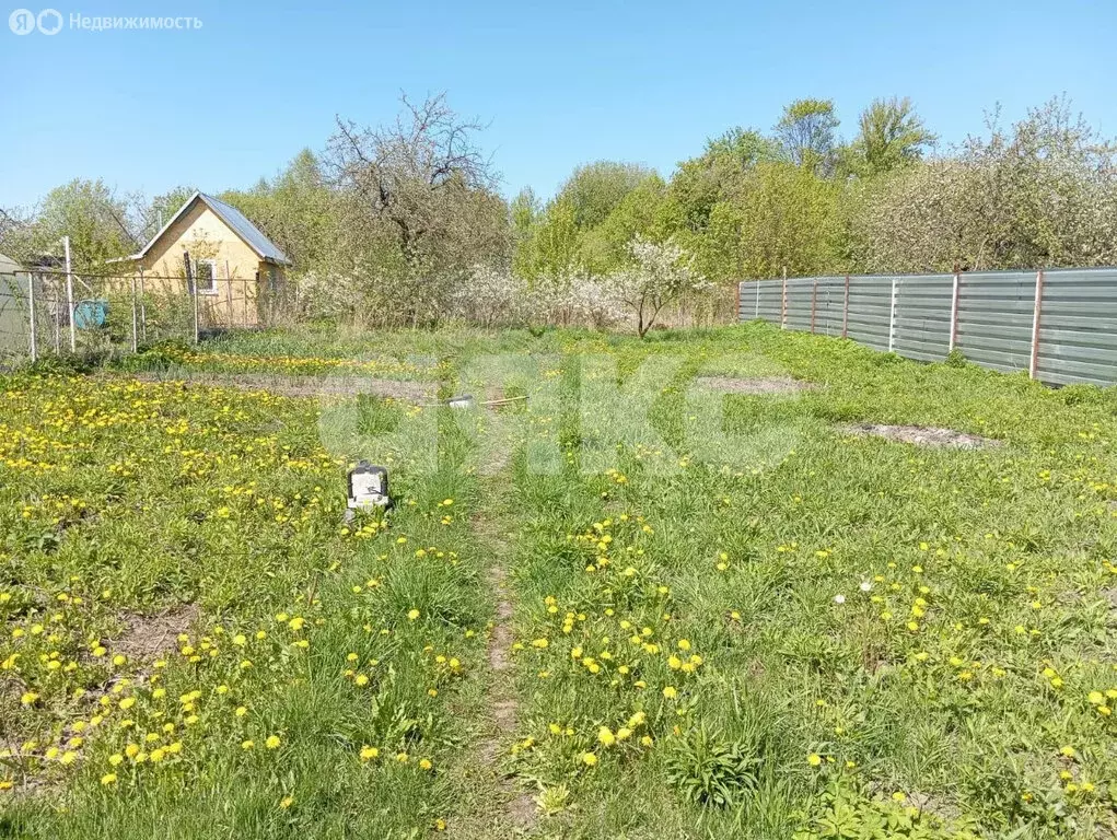 Участок в Щёкинский район, сельское поселение Яснополянское, деревня ... - Фото 1