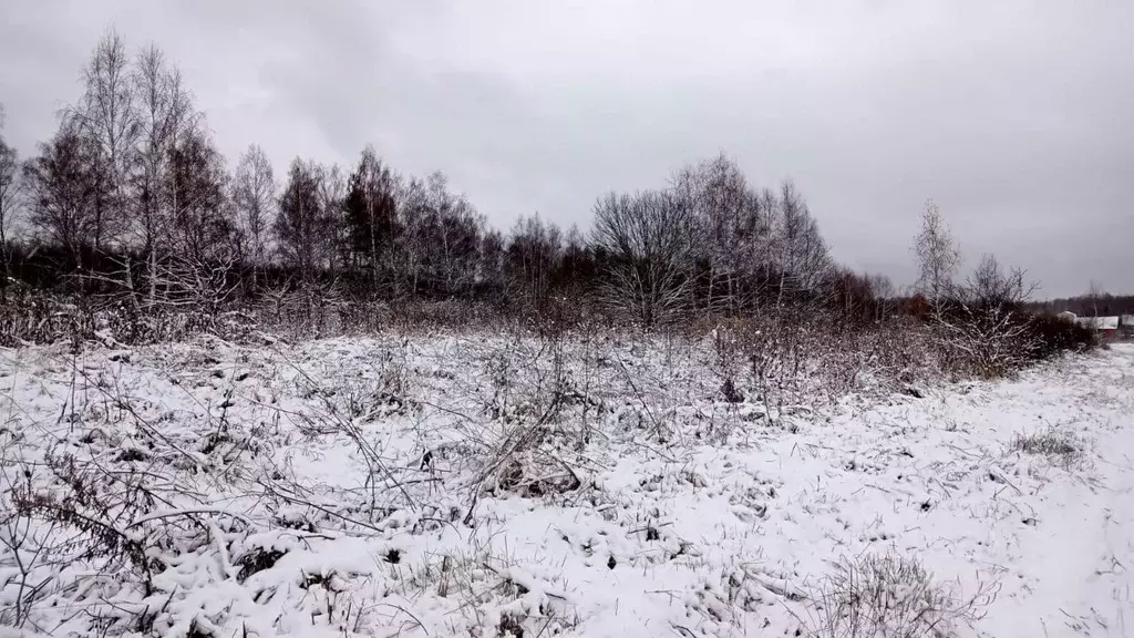 Участок в Московская область, Егорьевск муниципальный округ, д. Панино ... - Фото 0