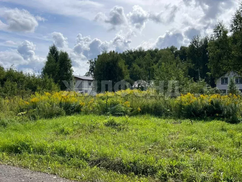 Участок в Новосибирская область, Новосибирский район, Каменский ... - Фото 0