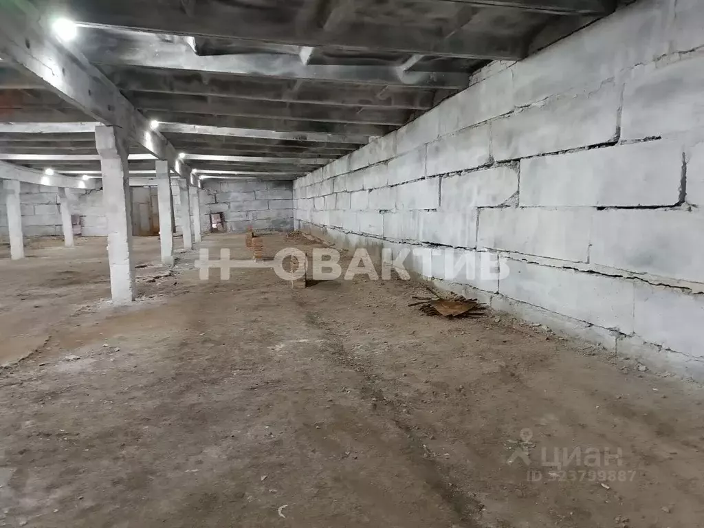 Помещение свободного назначения в Новосибирская область, Мошковский ... - Фото 1