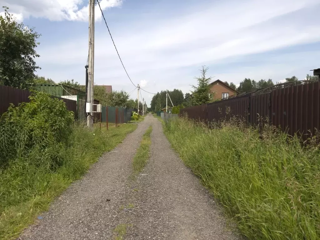 Участок в Московская область, Дмитровский муниципальный округ, ... - Фото 0