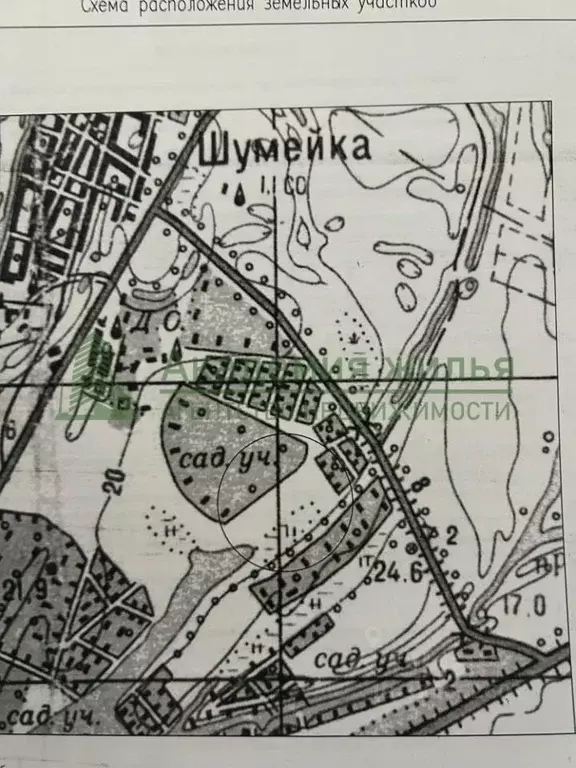 Участок в Саратовская область, Энгельсский район, Терновское ... - Фото 1