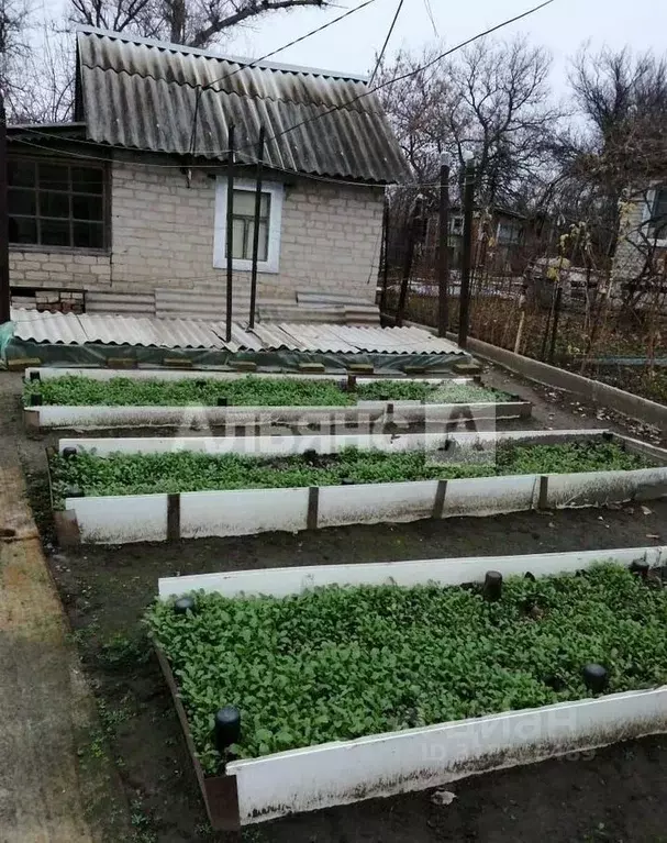 Дом в Ростовская область, Белая Калитва Садовод СНТ,  (12 м) - Фото 2