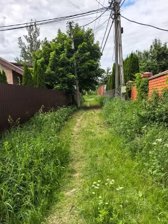 Участок в Московская область, Мытищи городской округ, д. Еремино ул. ... - Фото 1