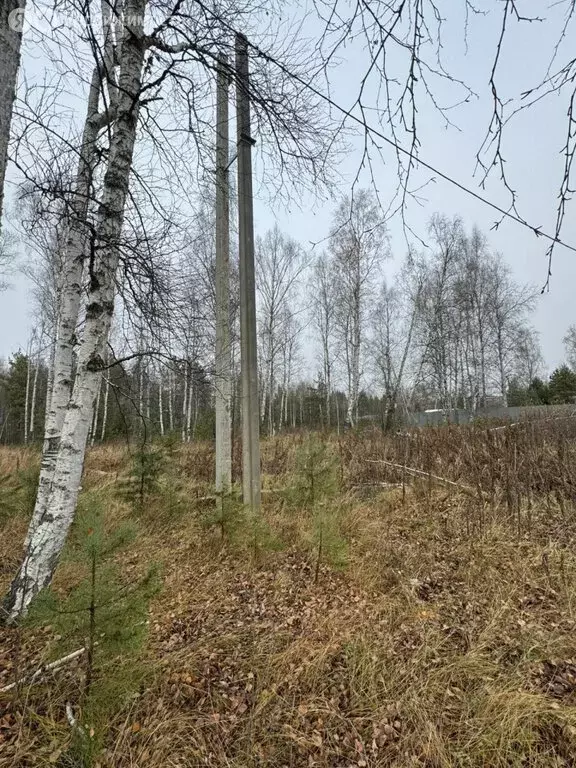 Участок в Свердловская область, муниципальное образование ... - Фото 2