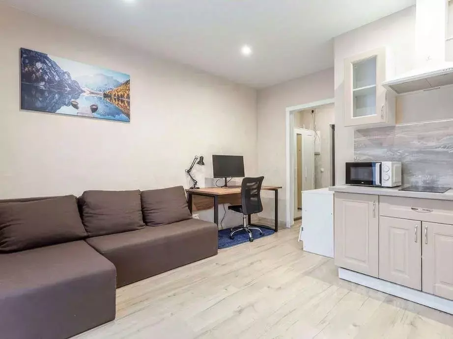 Студия Краснодарский край, Краснодар Гаражная ул., 107 (29.4 м) - Фото 2