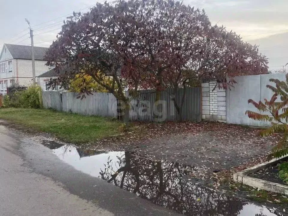 Участок в Белгородская область, Ивня рп, Исторический район совхоз  ... - Фото 1