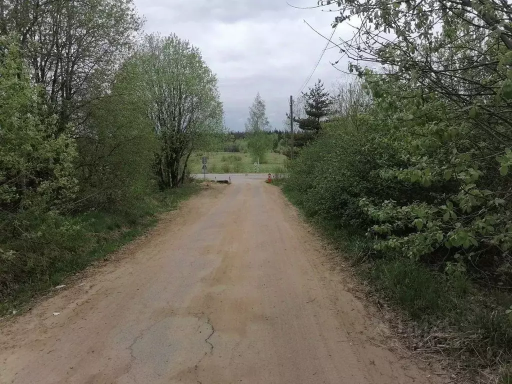 Участок в Ленинградская область, Всеволожский район, Лесколовское ... - Фото 2