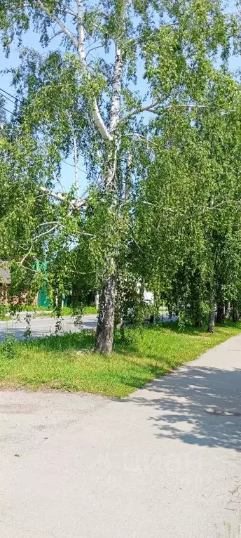 Дом в Алтайский край, Барнаул Северо-Западная ул. (52 м) - Фото 2