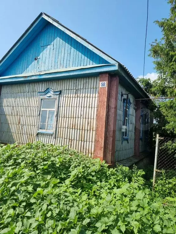 Дом 30,8 м на участке 40 сот. - Фото 1