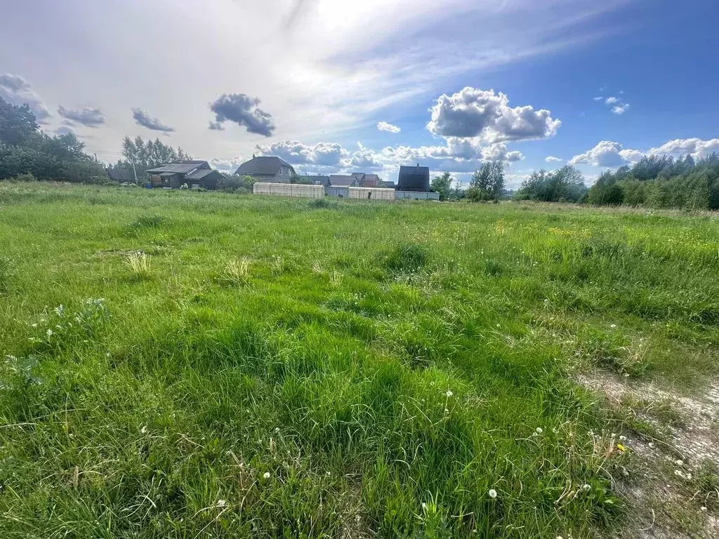 Участок в Московская область, Богородский городской округ, с. ... - Фото 0