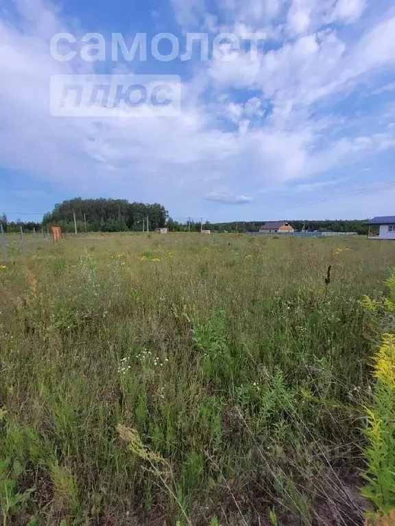 Участок в Владимирская область, Суздальский район, Боголюбовское ... - Фото 0