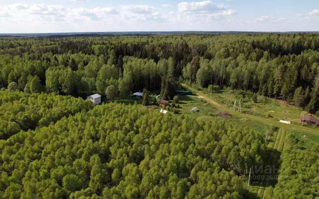 Участок в Московская область, Можайский городской округ, Лесные ... - Фото 1