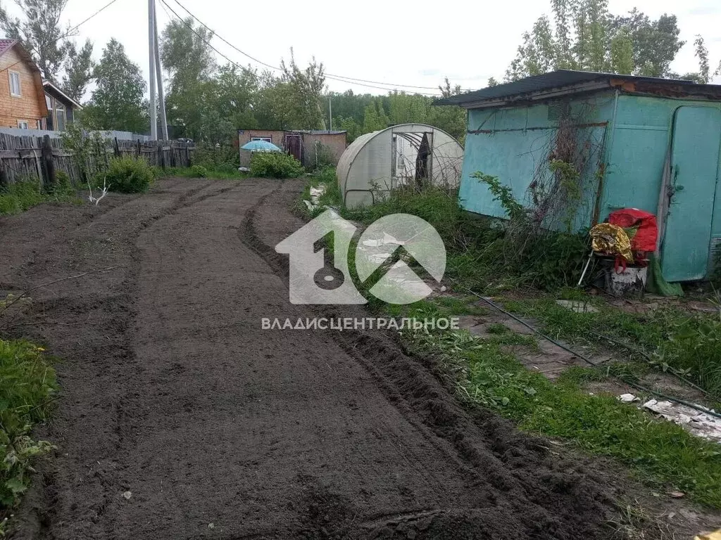Дом в Новосибирск, СНТ Буревестник Пашинский (20 м) - Фото 1