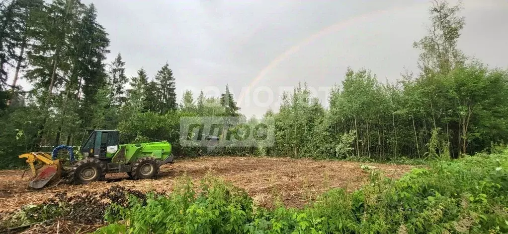 Участок в Московская область, Наро-Фоминский городской округ, д. ... - Фото 1